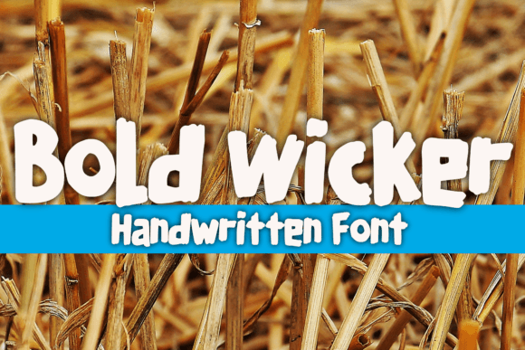 Bold Wicker: A Playful Display Font for Small Business Branding