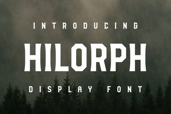 Hilorph Font Review: A Modern Display Typeface for Bold Brands
