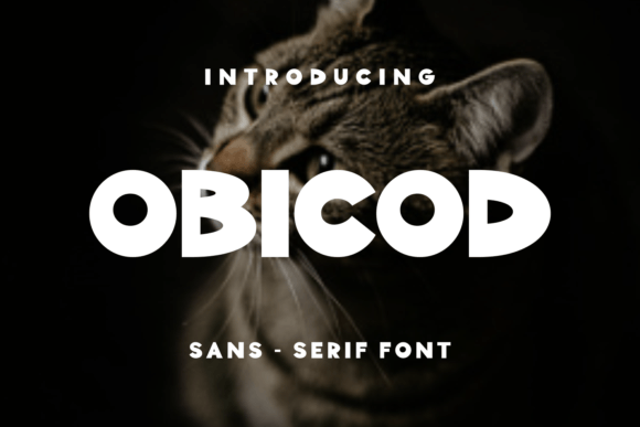 Obicod: The Unique Display Font for Handmade Brands