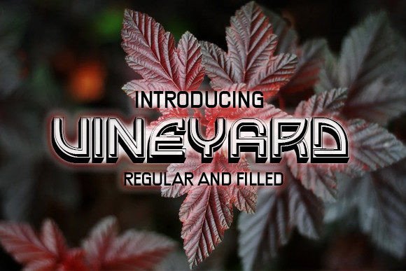 Vineyard: A Stylish 3D Display Typeface for Branding
