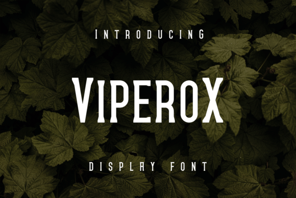 Viperox: A Unique Display Font for Modern Branding